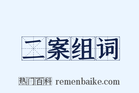 二案组词是什么意思的图片